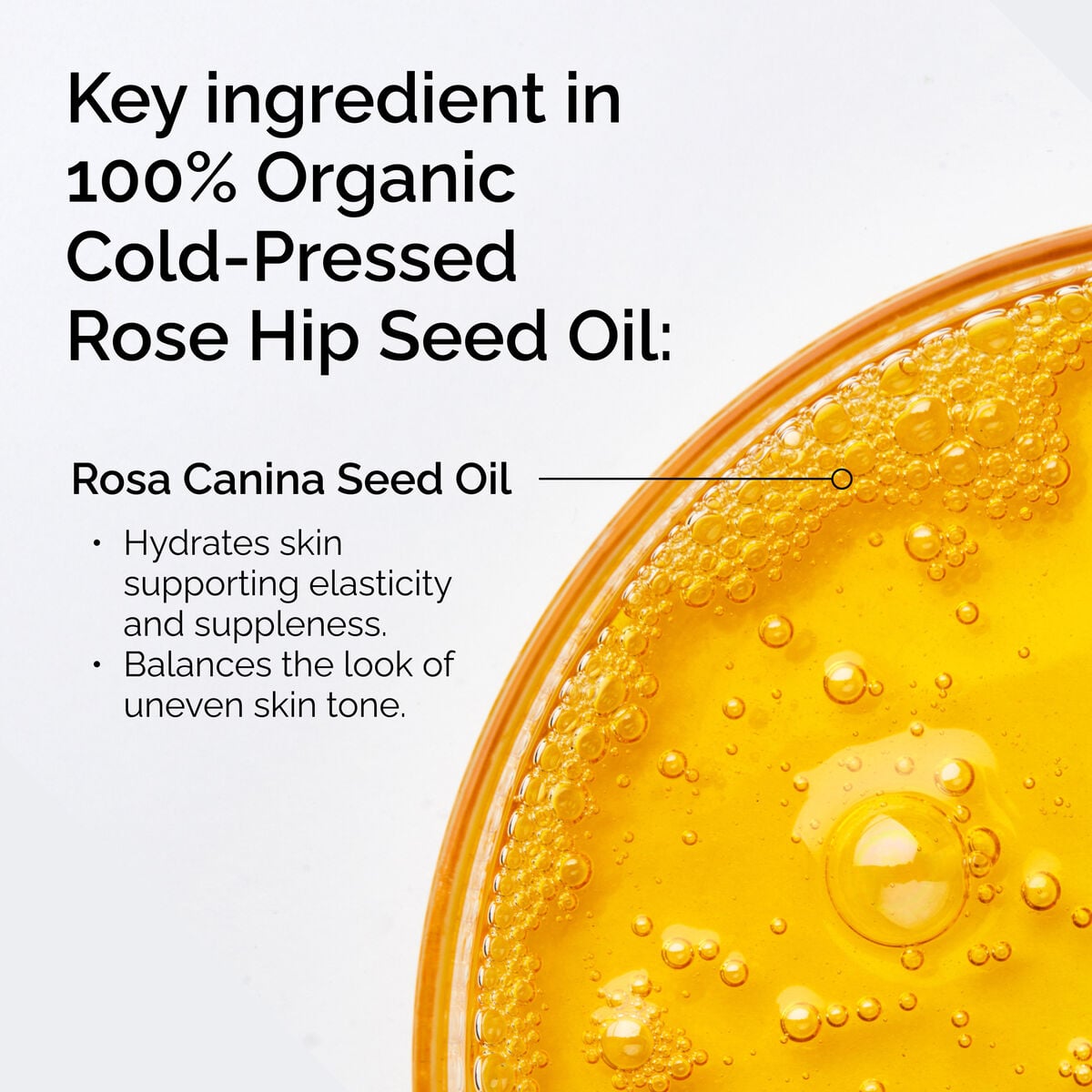 100-organic-cold-pressed-rose-hip-seed-oil-u1 FY25-D41247-ORD-Web-PDP-100-Rose-Hip-Oil-1x1-EN-2.jpg