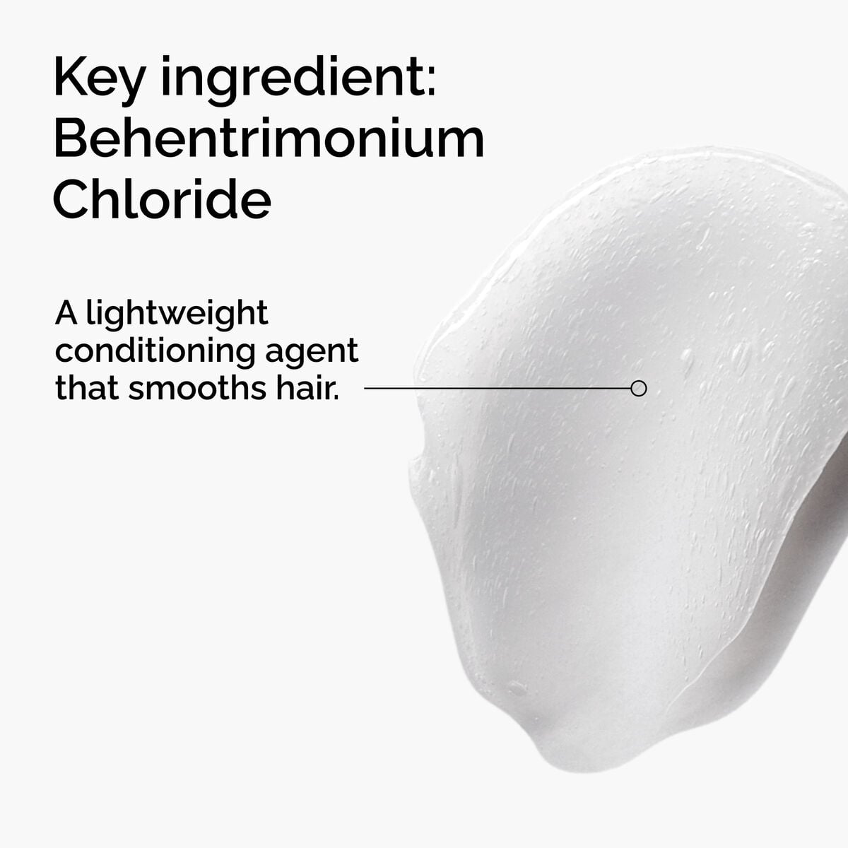 behentrimonium-chloride-2-conditioner-u8 FY25-D41247-ORD-Web-PDP-BTC-1x1-EN-2a.jpg