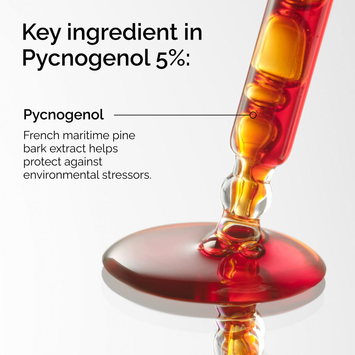 pycnogenol-5-c9 FY25-D41247-ORD-Web-PDP-Pyc-5pct-1x1-EN-2a.jpg