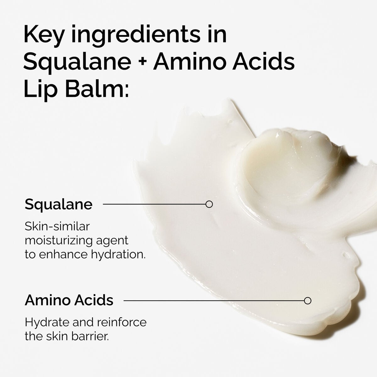 squalane-amino-acids-lip-balm-b2 FY25-D41247-ORD-Web-PDP-Sql-Amino-Lip-1x1-EN-2a.jpg