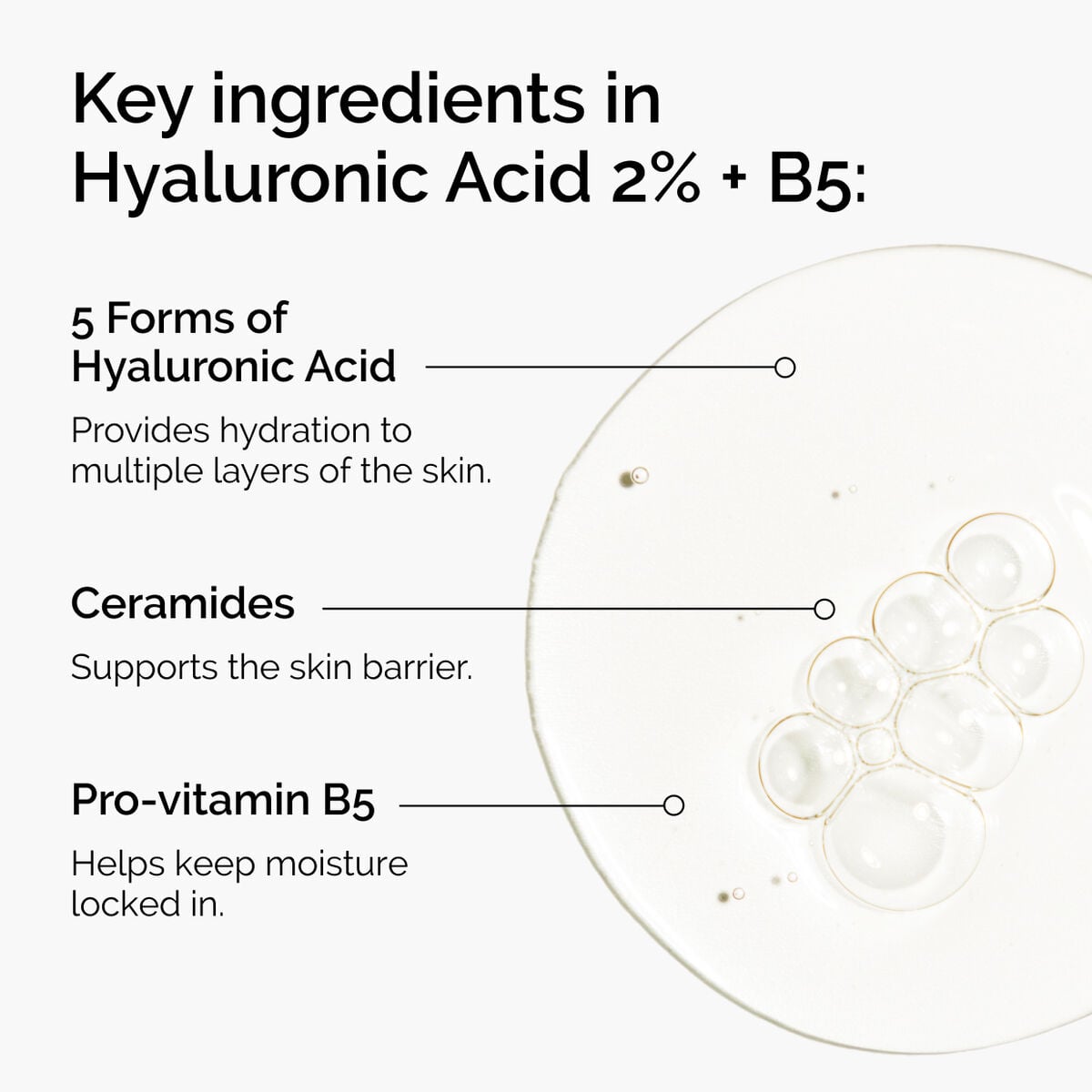 hyaluronic-acid-2-b5-with-ceramides-n8 ord-hyaluronic-acid-2pct-b5-hydrating-serum-ingredients-graphic.jpg