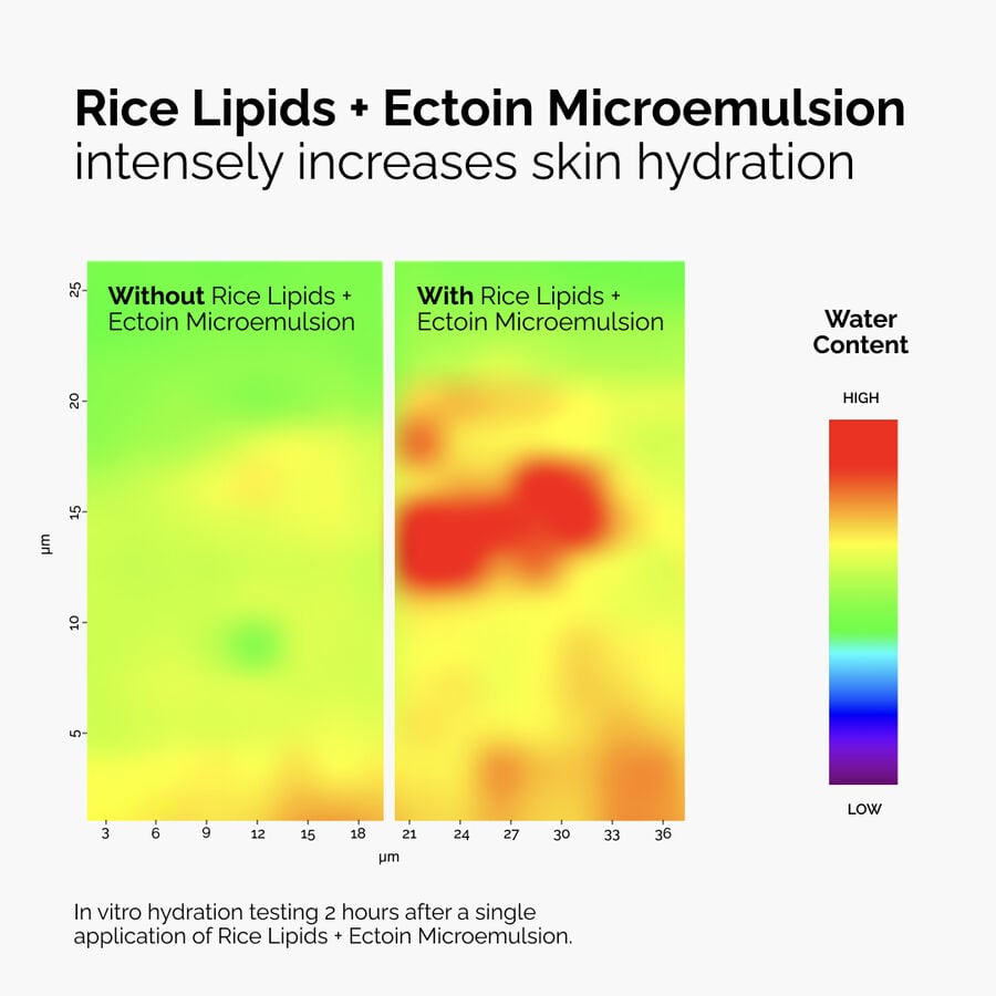 rice-lipids-ectoin-microemulsion-q9 ord-rice-lipids-ectoin-microemulsion-thermal-before-after.jpg